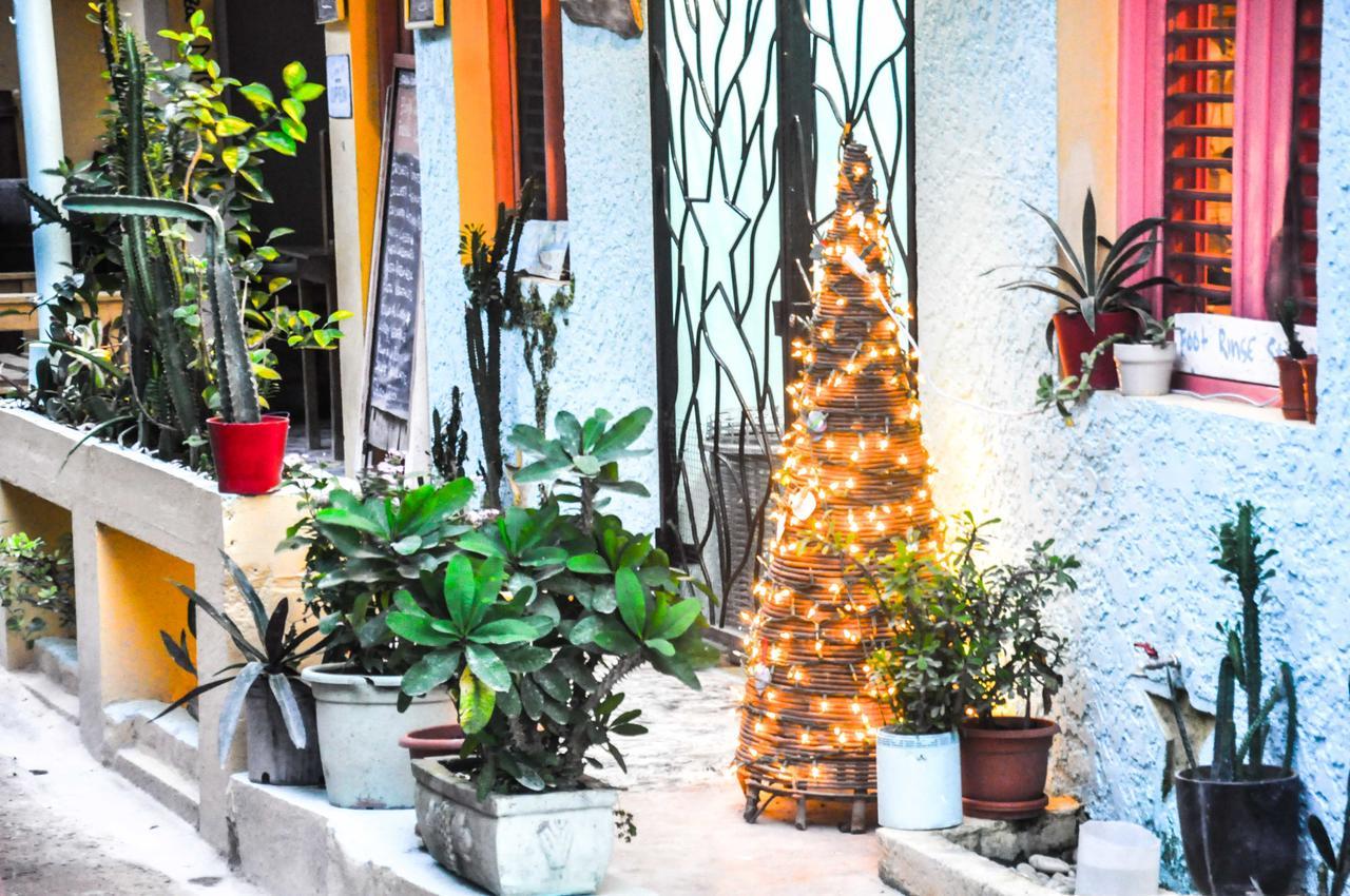 Casa Delfin Guest House Las Terrenas Ngoại thất bức ảnh