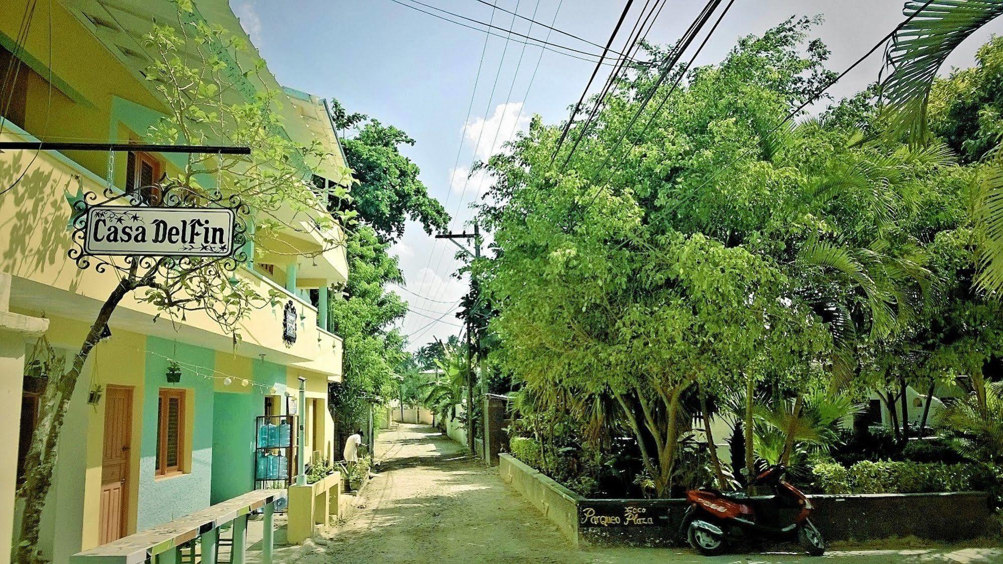 Casa Delfin Guest House Las Terrenas Ngoại thất bức ảnh